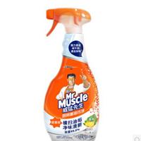 威猛先生油污净500克