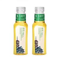 东方树叶 绿茶 500ML