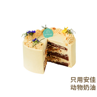 焦糖海盐坚果蛋糕（店长推荐）