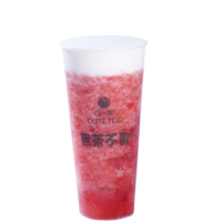 多肉仙石榴