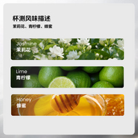 手冲：圣佩德罗水洗瑰夏