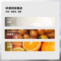 手衝：ALO-JH水洗