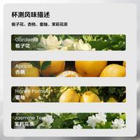 手冲：芭芭拉庄园.绿顶瑰夏