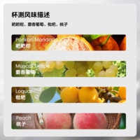 手冲：瑰夏村.金标瑰夏1931