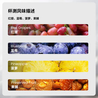 手冲：如目达摩