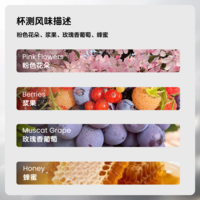 手冲：阿尔铁里绿顶DFC日晒