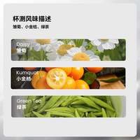 手冲：ALO-班莎水洗