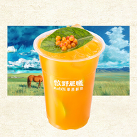 阿爾山沙棘果蔬茶