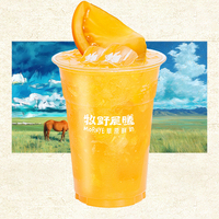 五原黃柿子果蔬茶