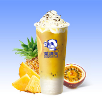 雪顶金凤梨