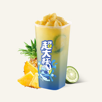 巨盐凤梨