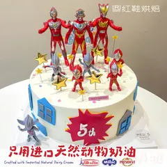 男孩款款式 #P250331897988807，8寸，约8–12人