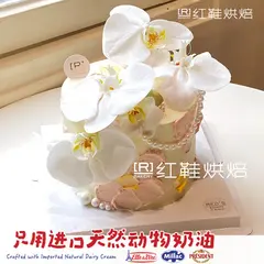 仙女款款式 #P250130241769863，5寸加高，约5–6人